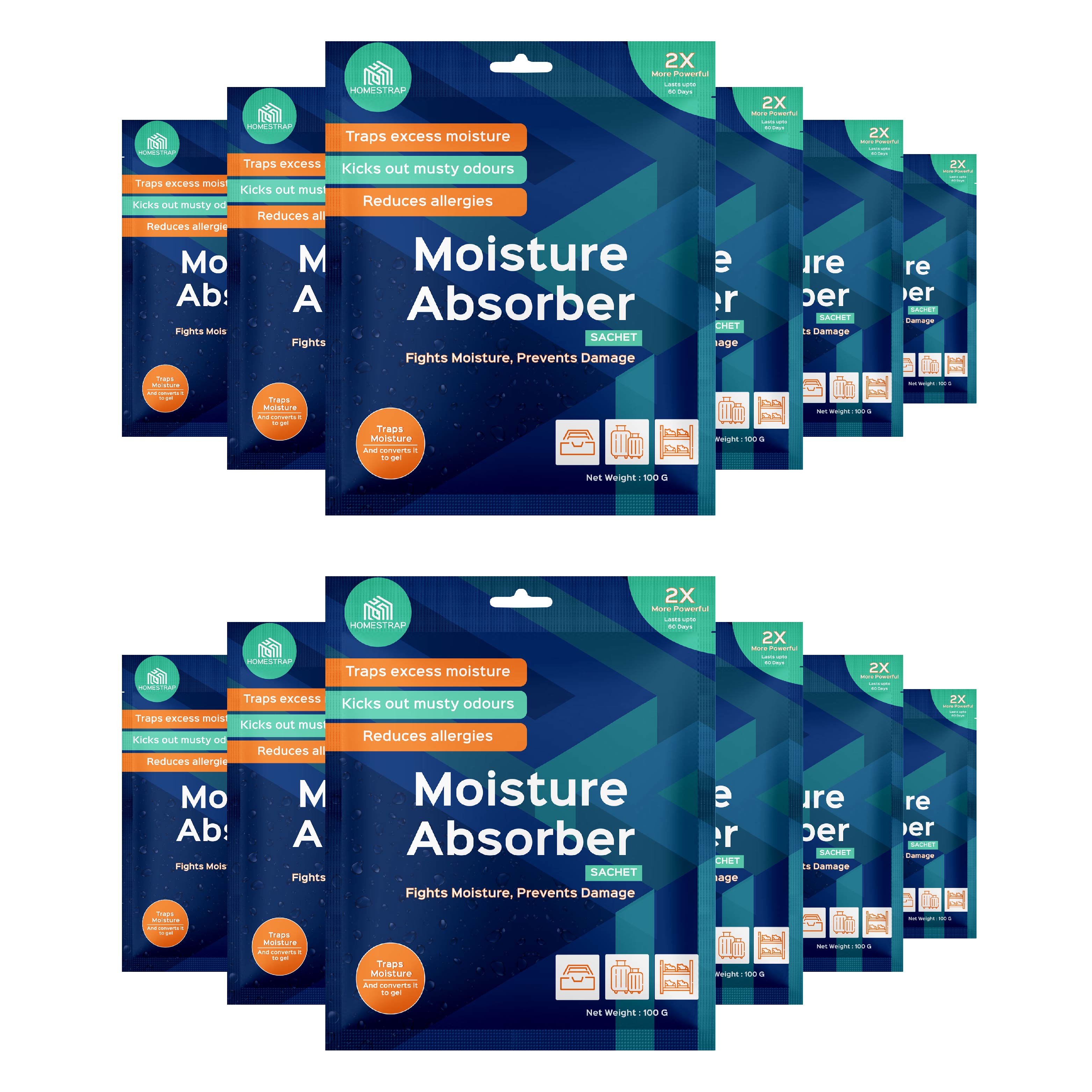 Moisture Absorber Sachet 100 Grams