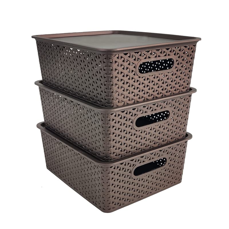 Set Of 3, Plastic Storage Organizers | Baskets With Lid