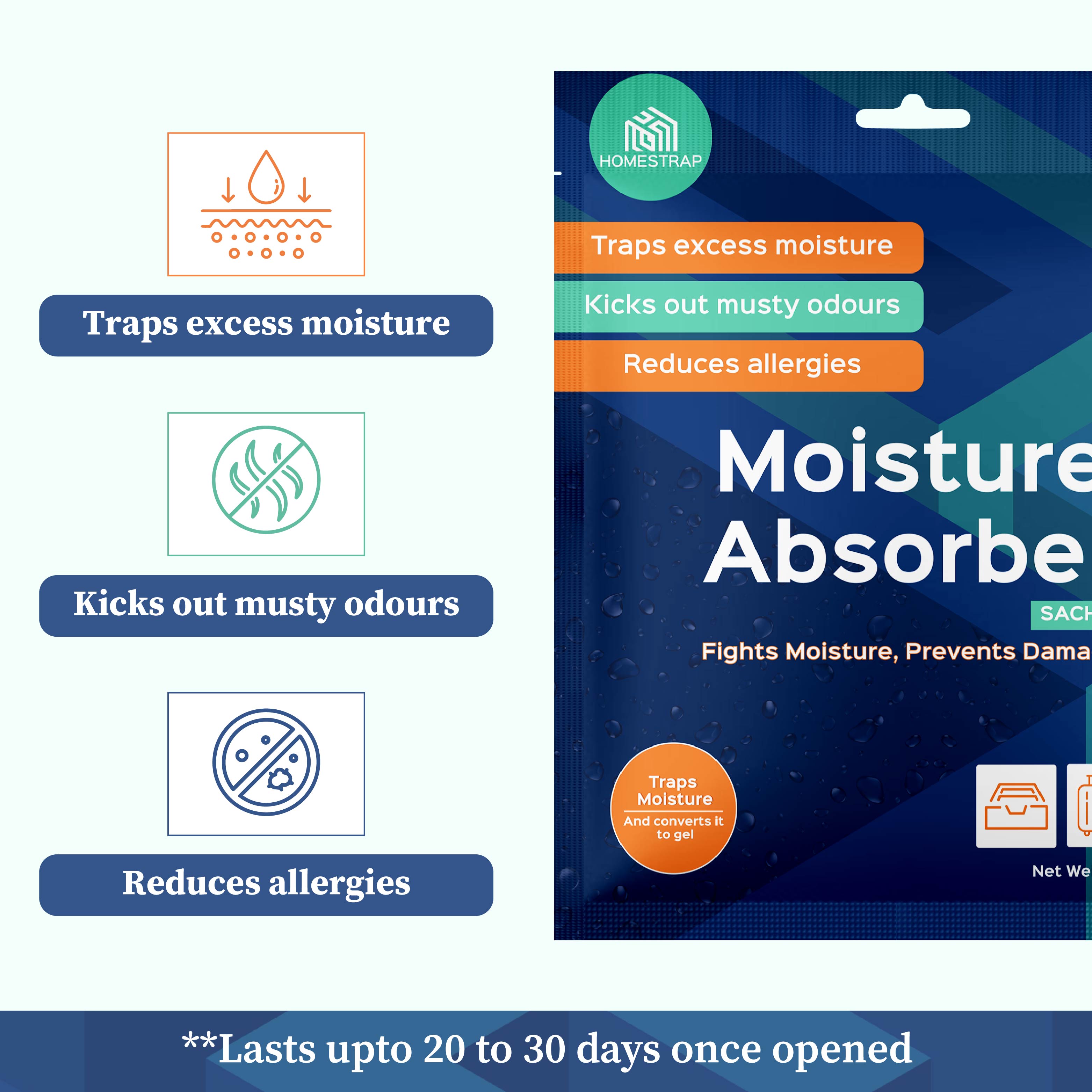 Moisture Absorber Sachet 100 Grams