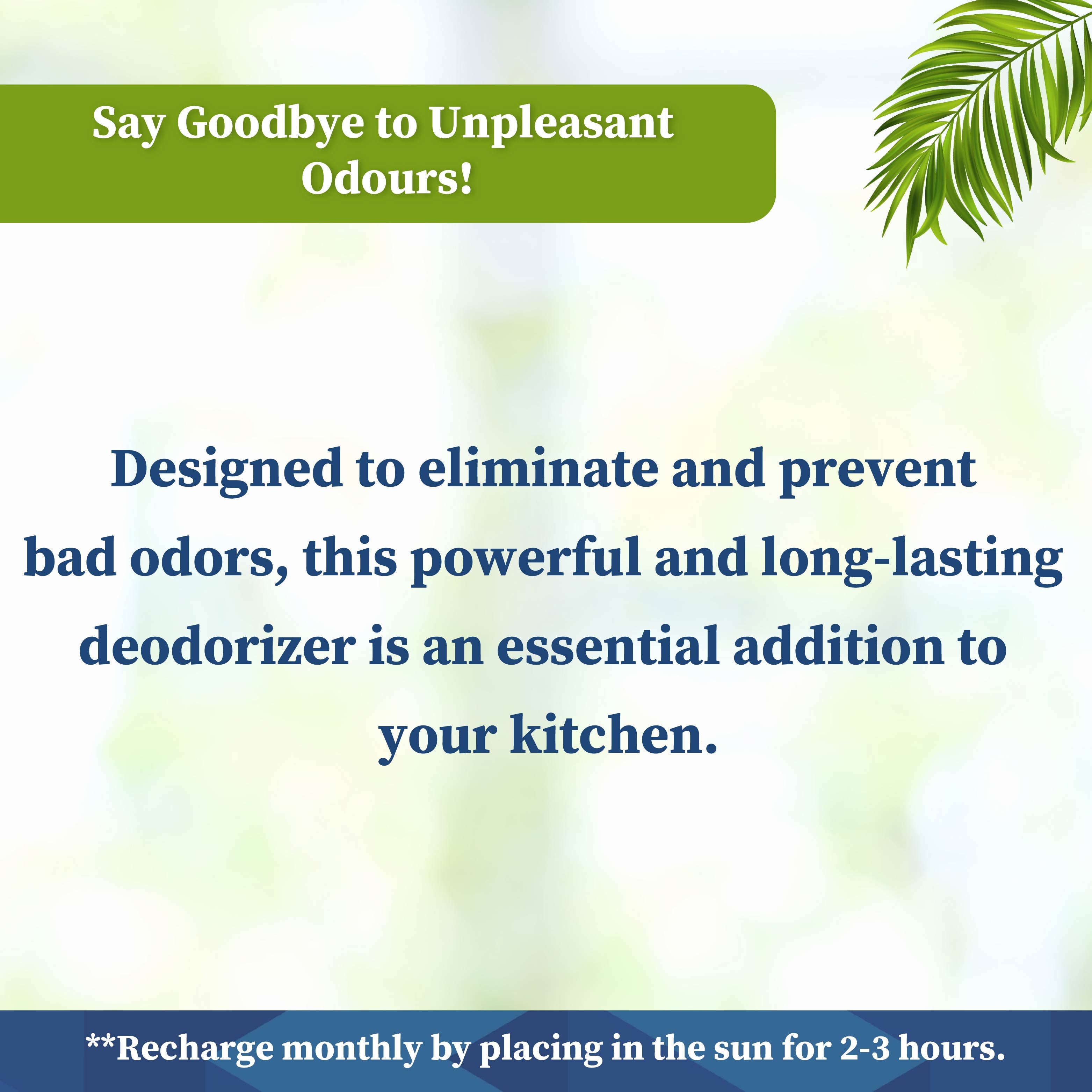 Coconut Charcoal Fridge Deodorizer 60 Gram | Natural Odor Absorber for your Refrigerator