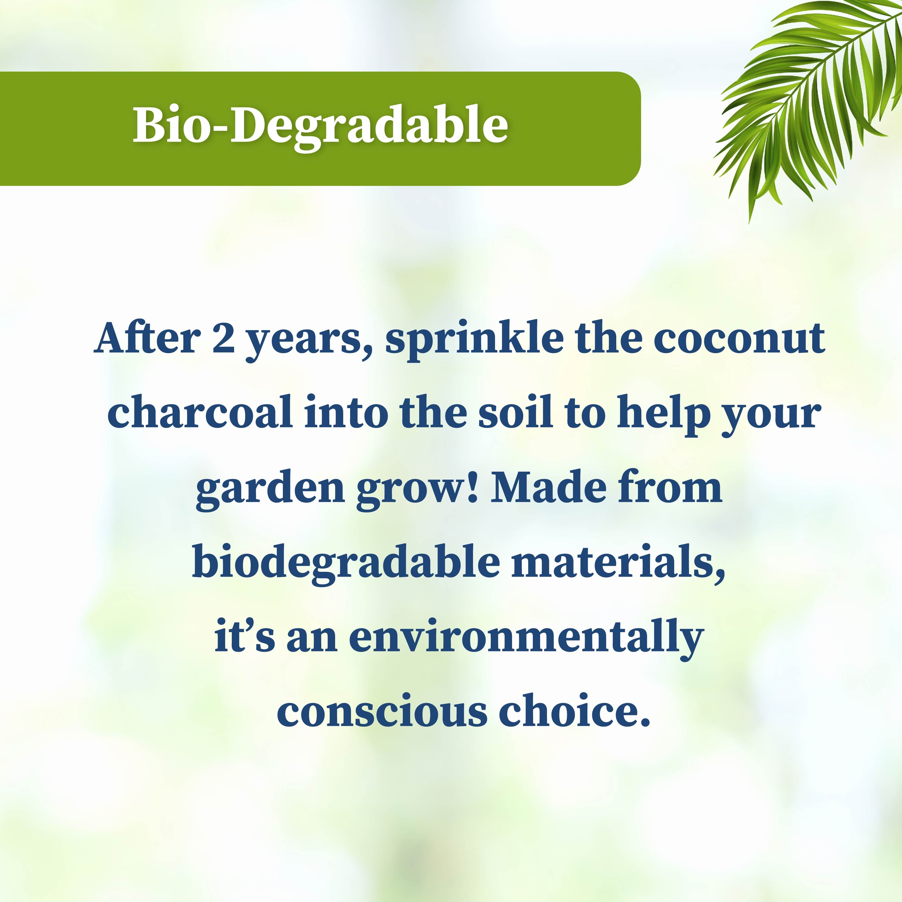 Coconut Charcoal Fridge Deodorizer 60 Gram | Natural Odor Absorber for your Refrigerator