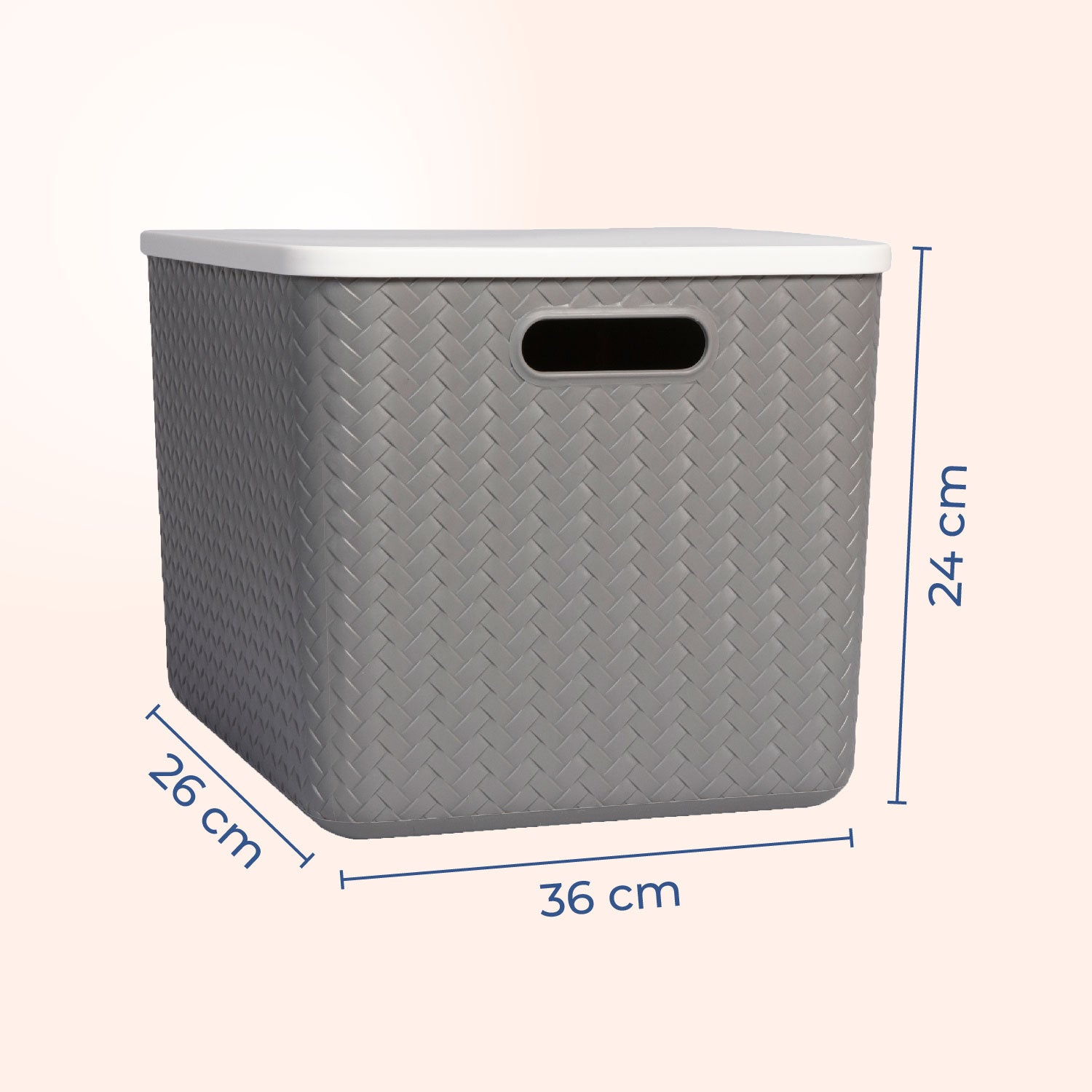 Hide & Seeker | Set of 3, Multipurpose Plastic Storage Baskets With Lid & Handle