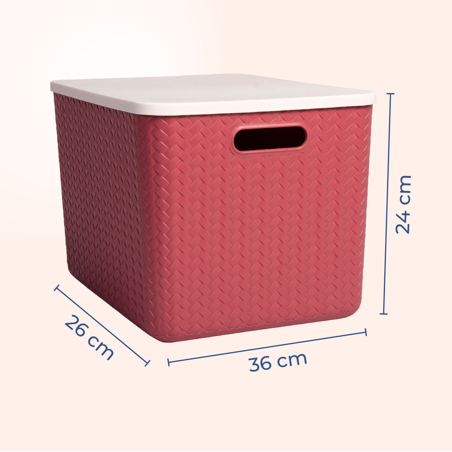 Hide & Seeker | Set of 3, Multipurpose Plastic Storage Baskets With Lid & Handle