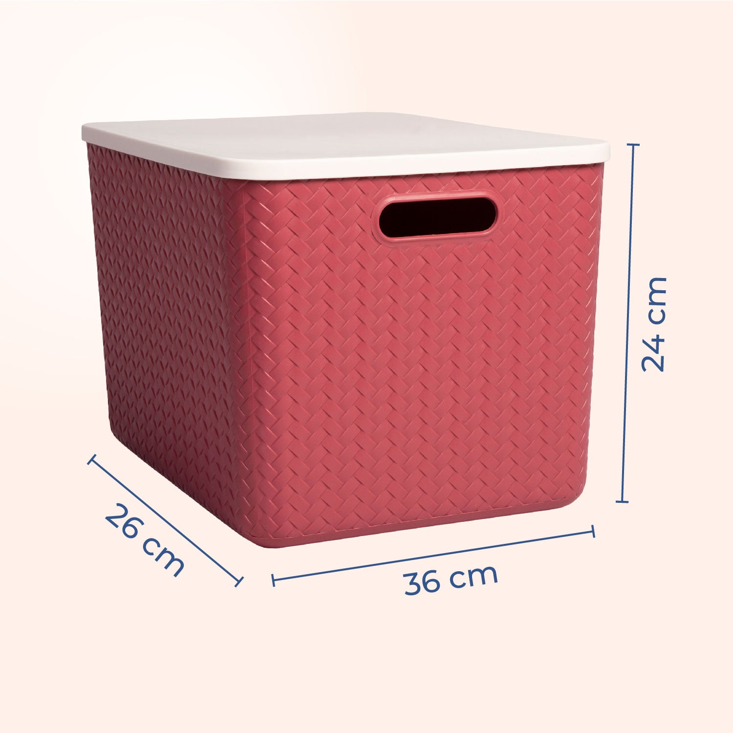 Hide & Seeker | Set of 3, Multipurpose Plastic Storage Baskets With Lid & Handle