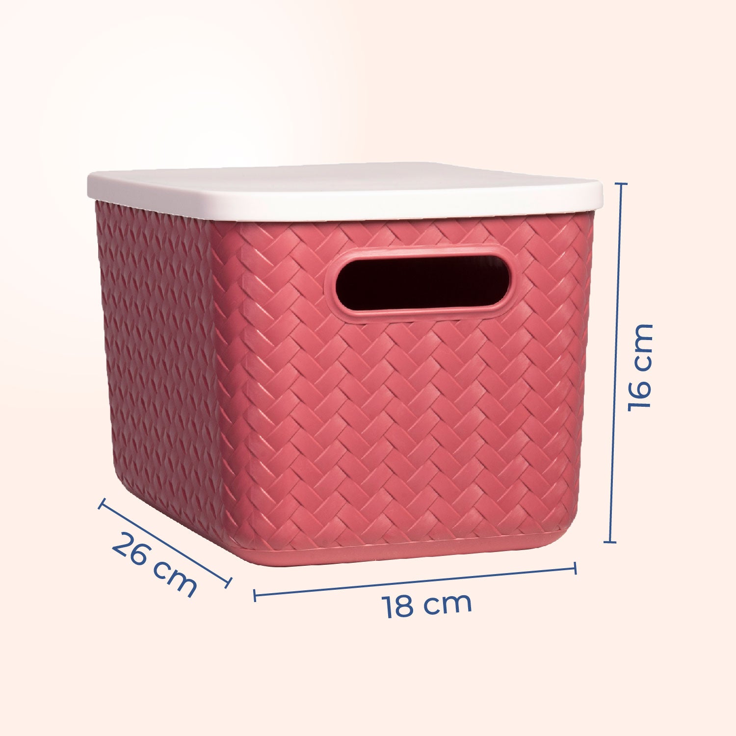 Hide & Seeker | Set of 3, Multipurpose Plastic Storage Baskets With Lid & Handle