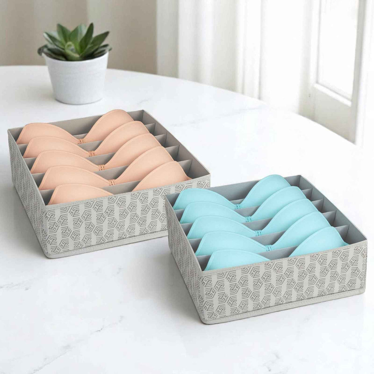 Homestrap Bra Organizer for Drawers