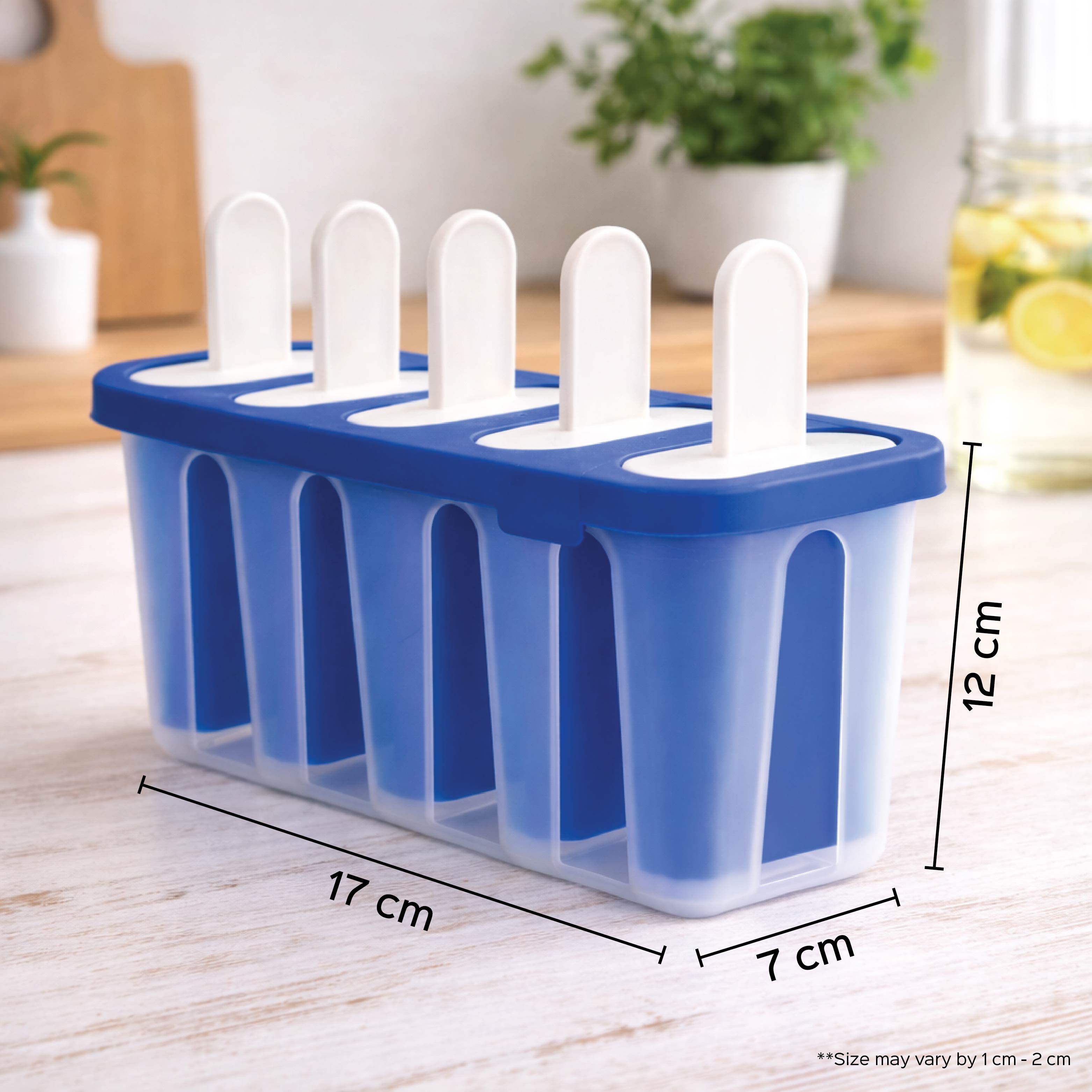 Ice Popsicle Mould 6 Slot