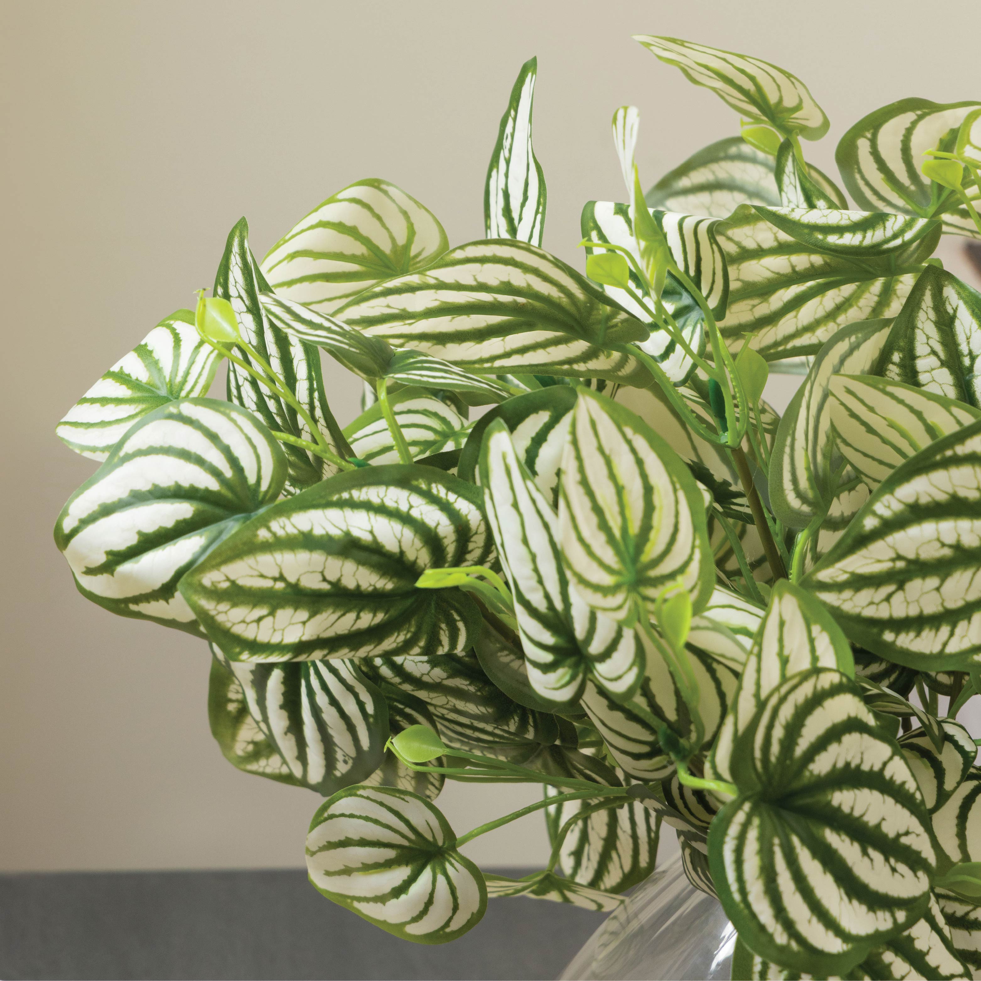Sokai Green & White Decorative Leaf Bunch | Peperomia - Set of 3
