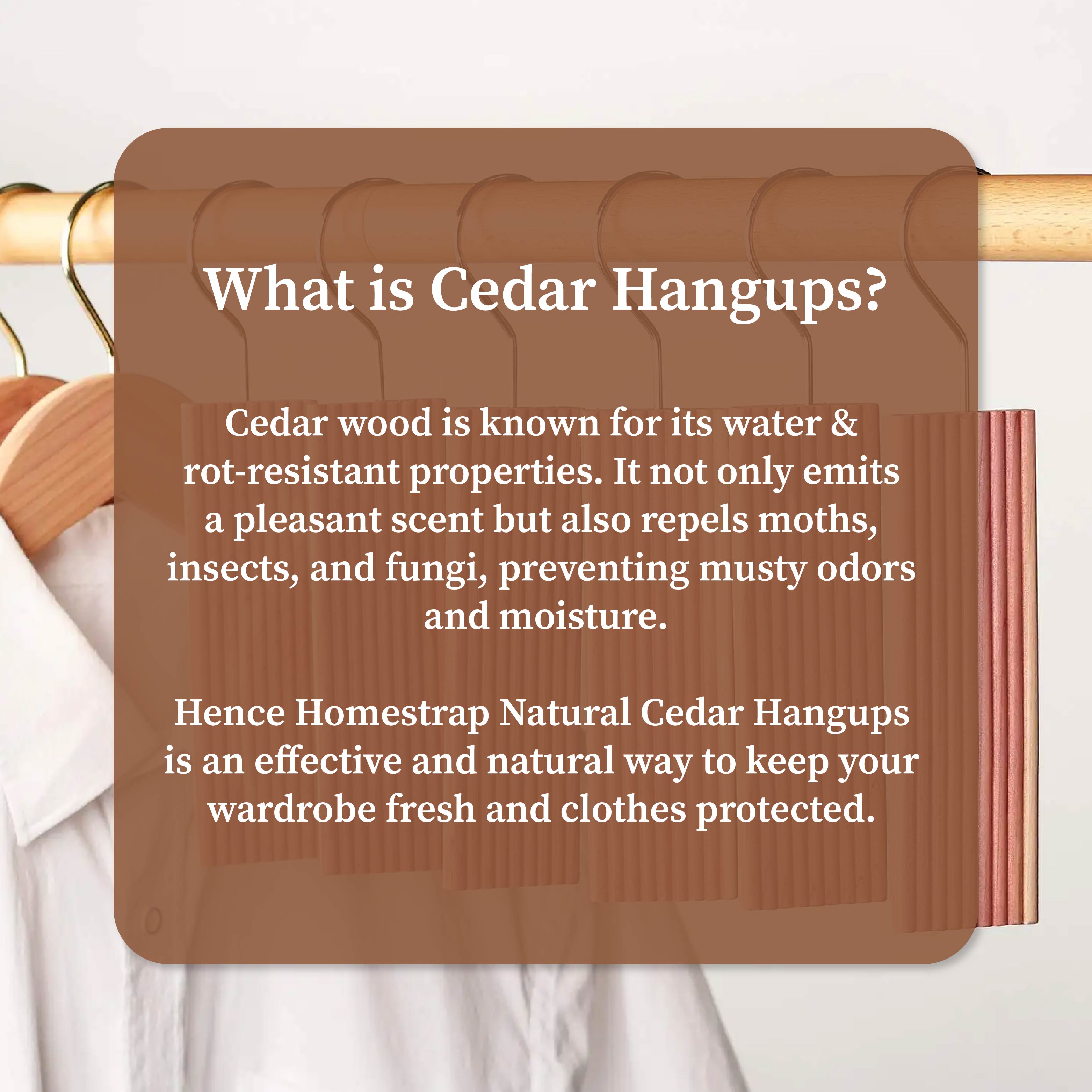 Natural Cedar Air Freshener Hang-Ups | Cedar Block Hangups for Wardrobe
