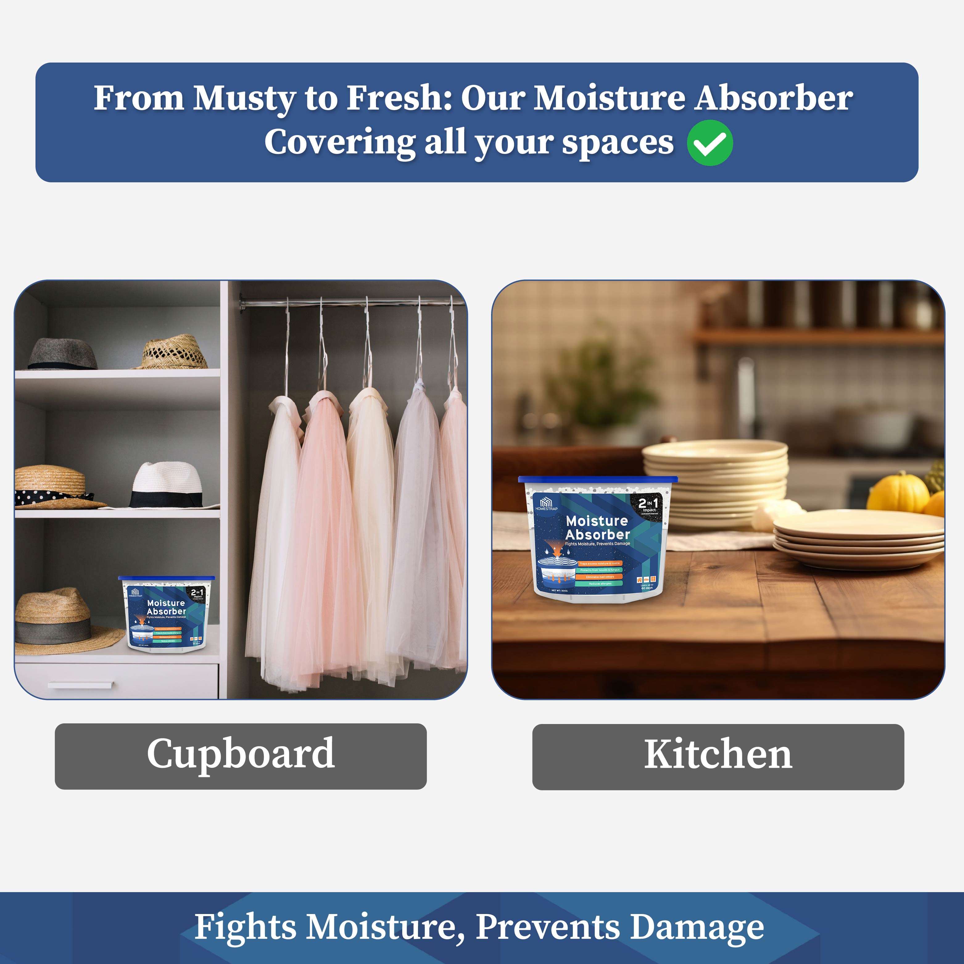 Moisture Absorber Box 300 Grams