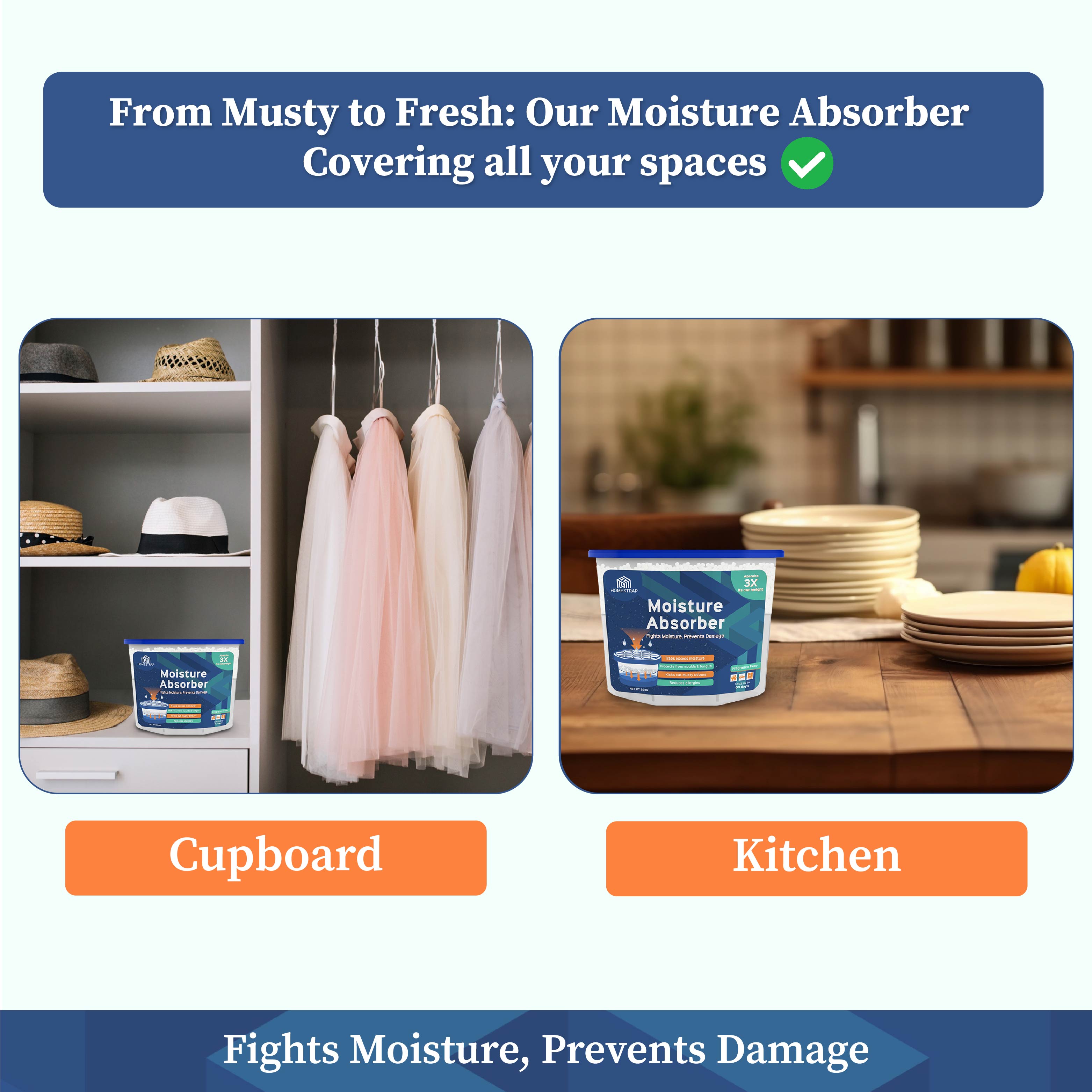 Moisture Absorber Box 300 Grams