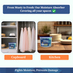 Moisture Absorber Box 300 Grams - Homestrap