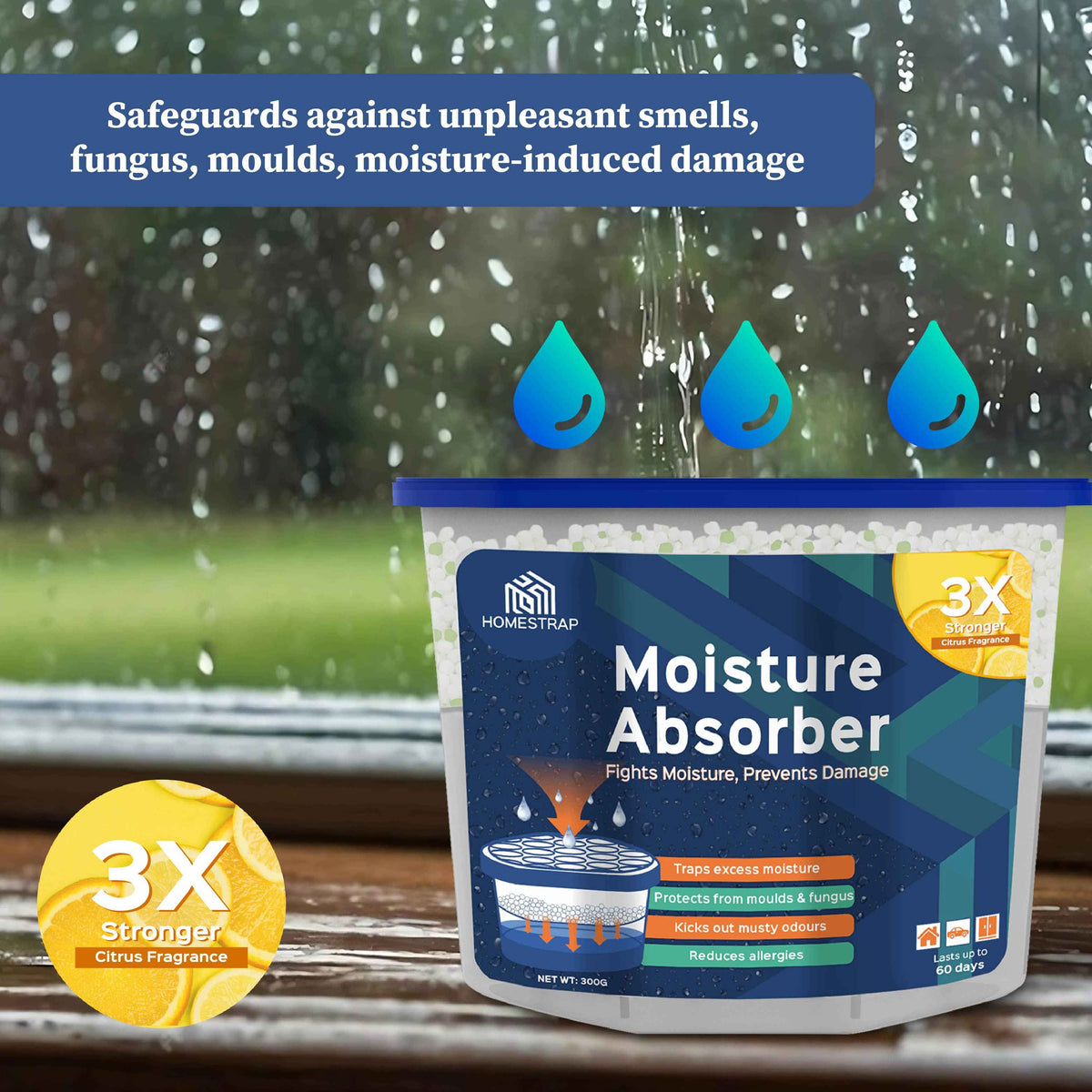 Moisture Absorber Box 300 Grams