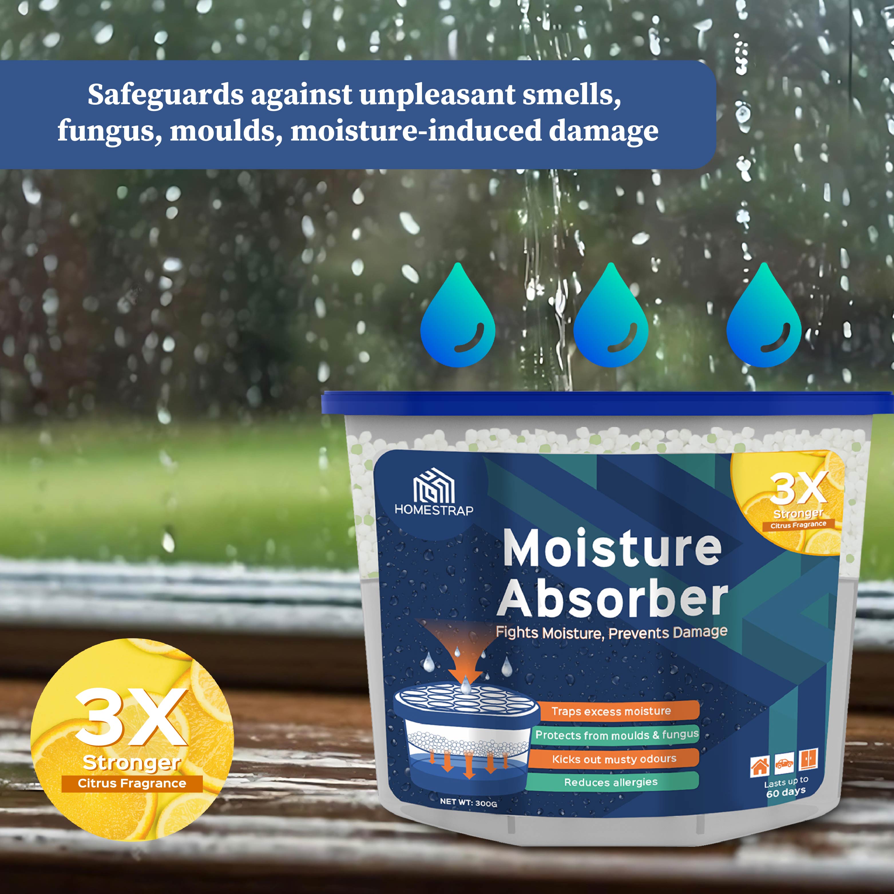 Moisture Absorber Box 300 Grams