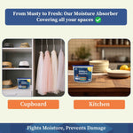 Moisture Absorber Box 300 Grams