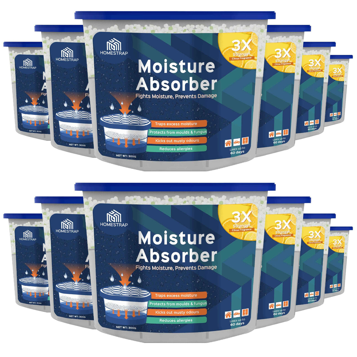 Moisture Absorber Box 300 Grams