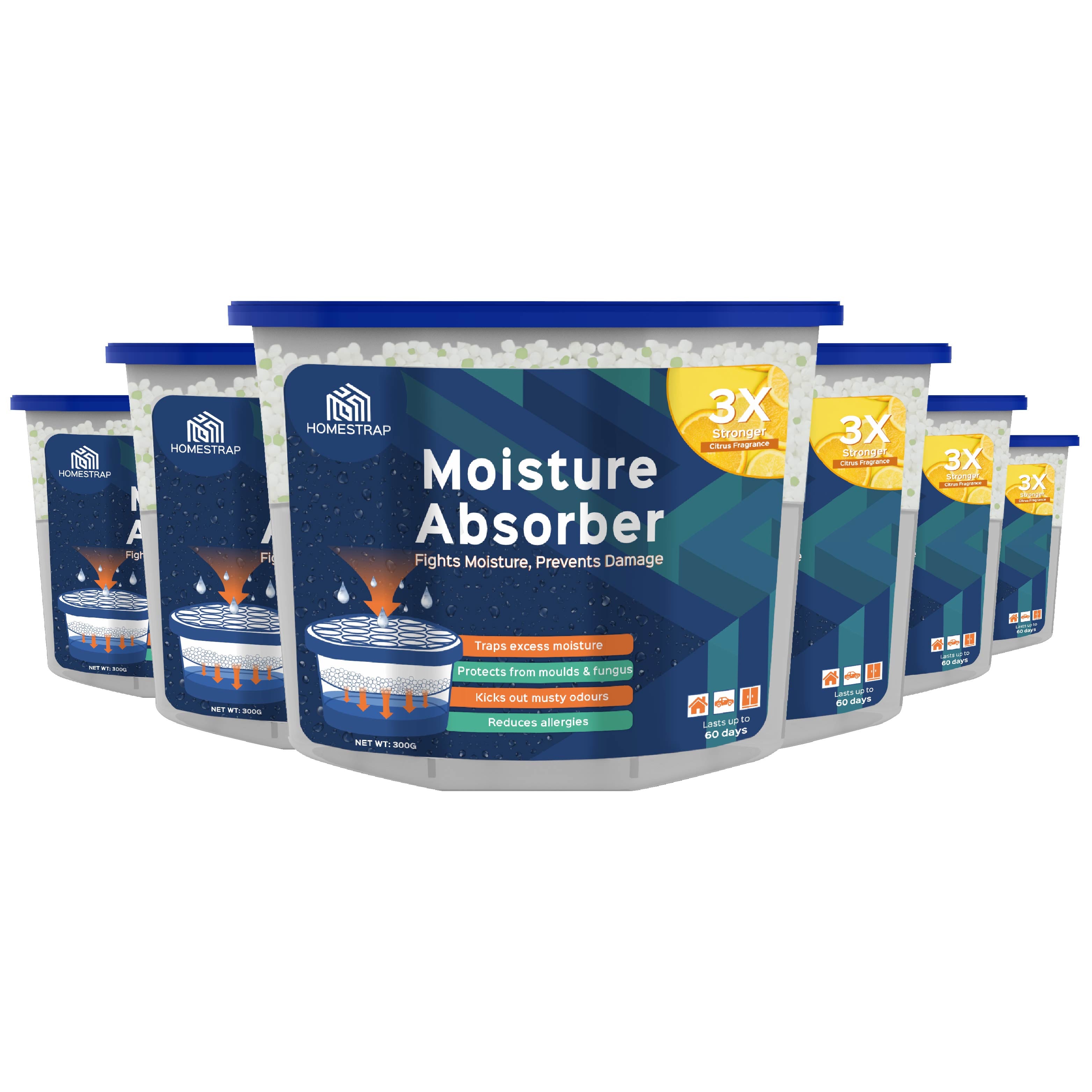 Moisture Absorber Box 300 Grams
