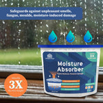 Moisture Absorber Box 300 Grams - Homestrap