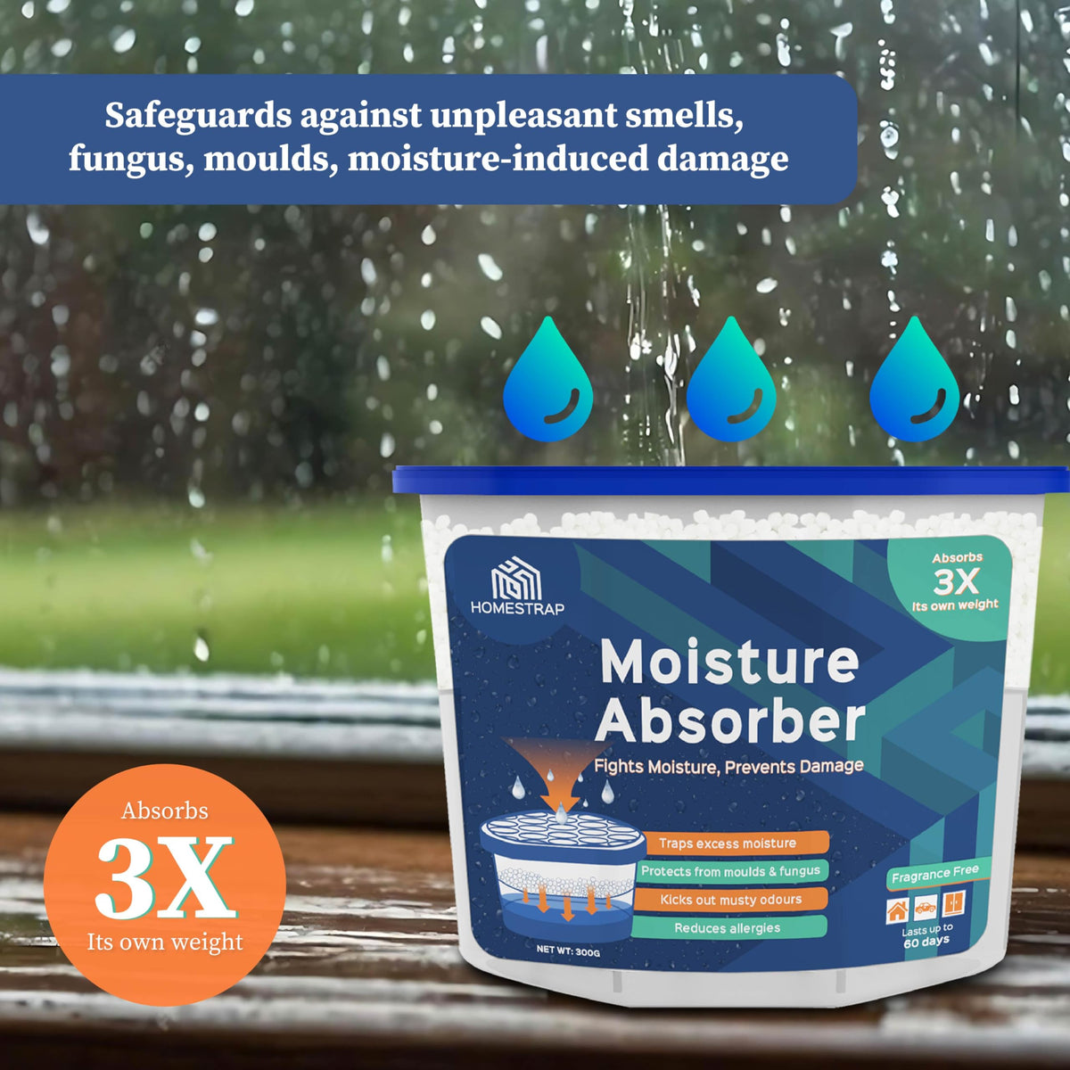 Moisture Absorber Box 300 Grams - Homestrap
