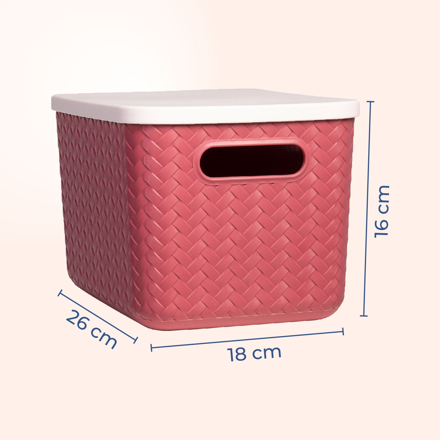 Hide & Seeker | Set of 3, Multipurpose Plastic Storage Baskets With Lid & Handle