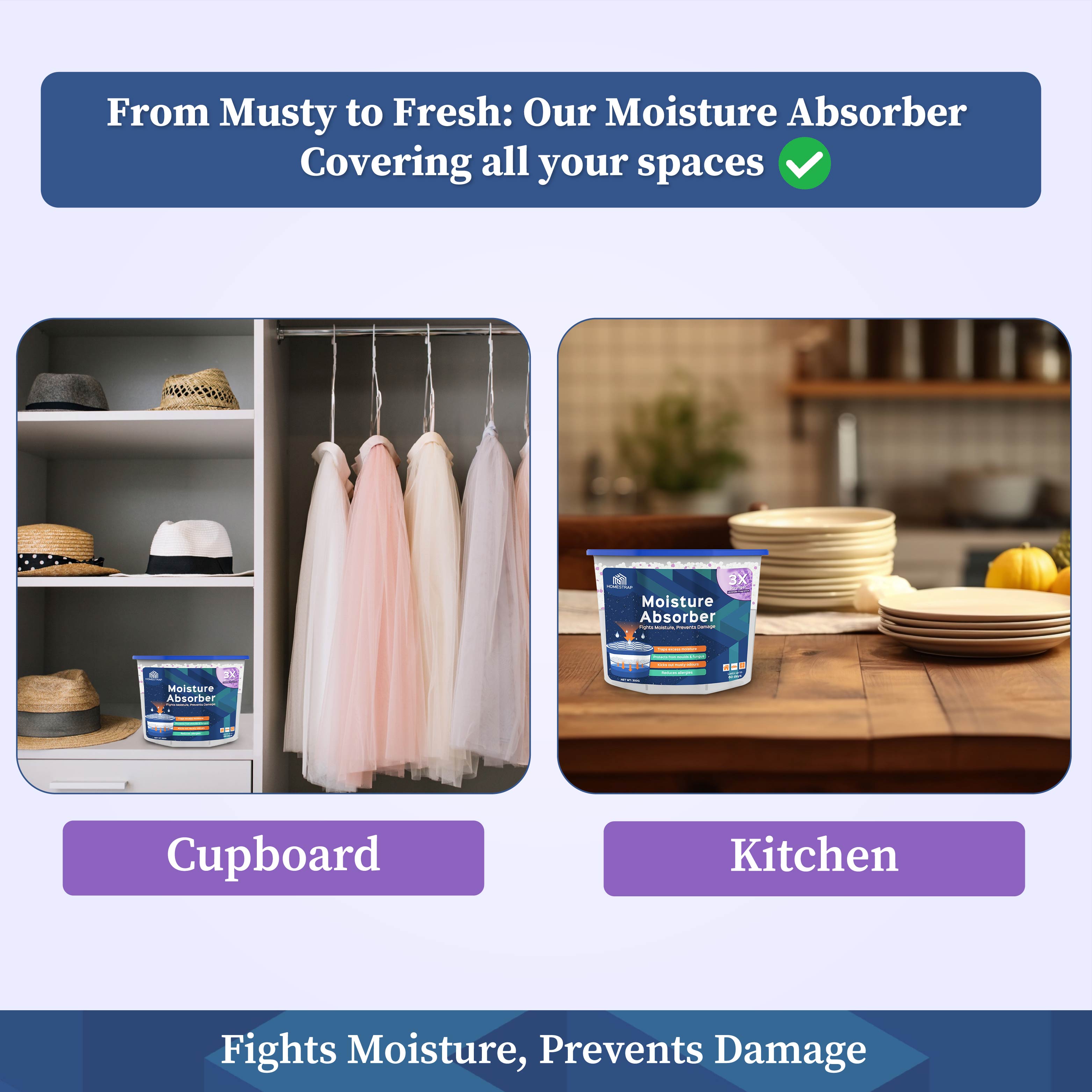 Moisture Absorber Box 300 Grams