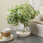 Sokai Green & White Decorative Leaf Bunch | Peperomia - Set of 3 - Homestrap