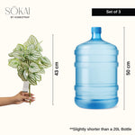Sokai Green & White Decorative Leaf Bunch | Peperomia - Set of 3 - Homestrap