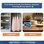 Moisture Absorber Box 300 Grams - Homestrap