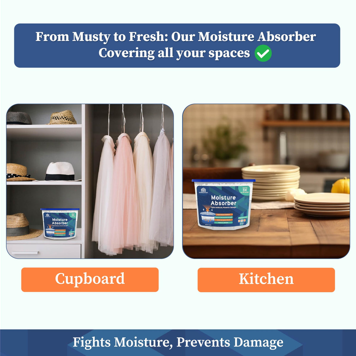 Moisture Absorber Box 300 Grams - Homestrap