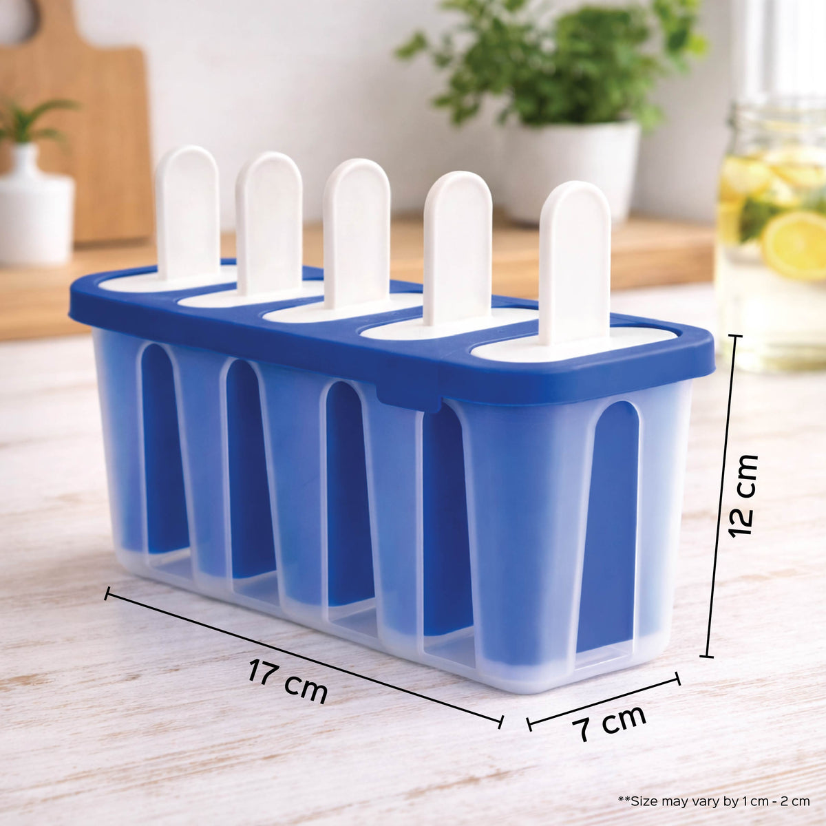 Ice Popsicle Mould 5 Slot - Homestrap