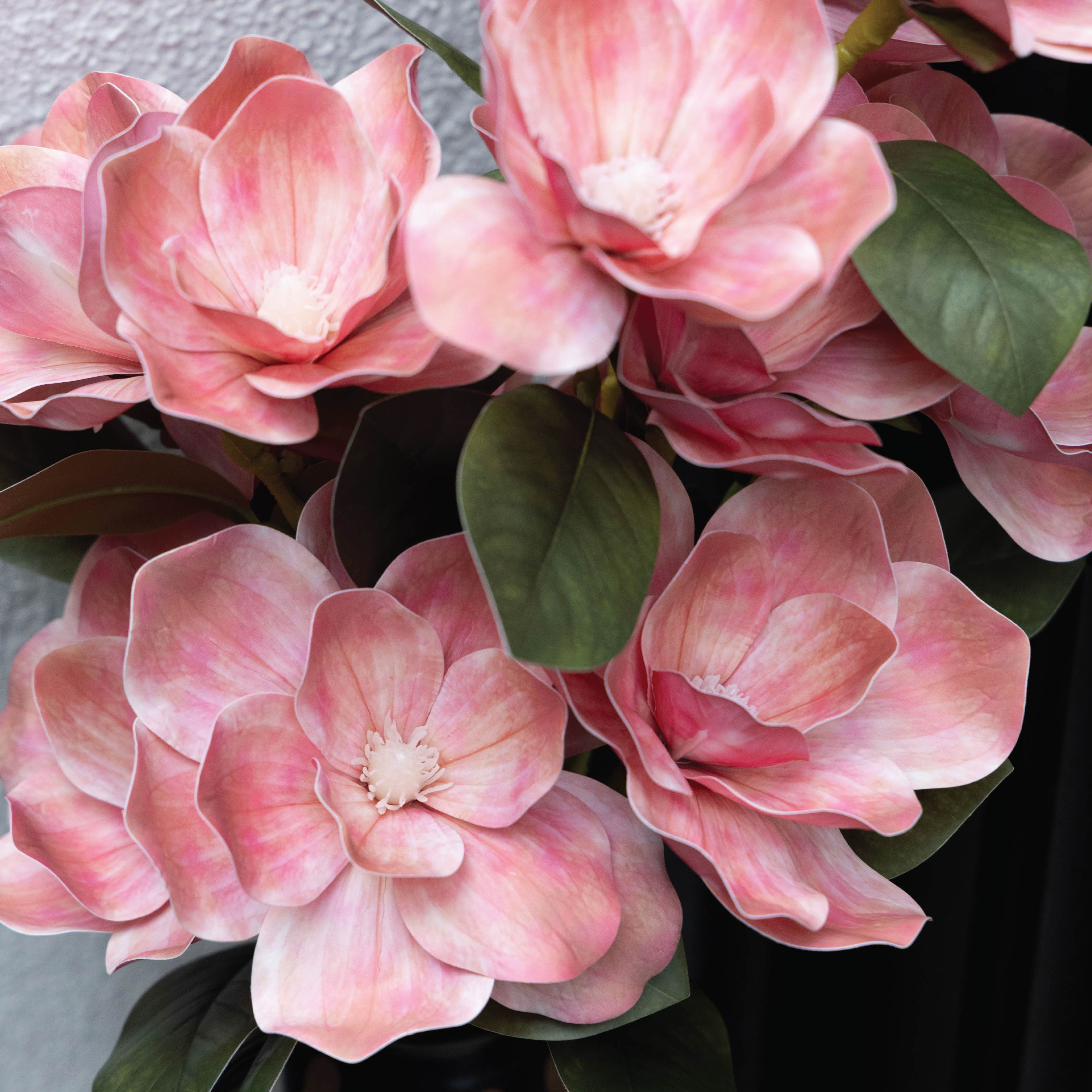 Sokai Coral Pink Magnolia Long Stem Flower -Set of 2