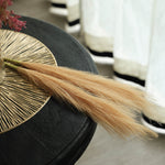 Sokai Pampas Grass Sticks – Set of 6 - Homestrap