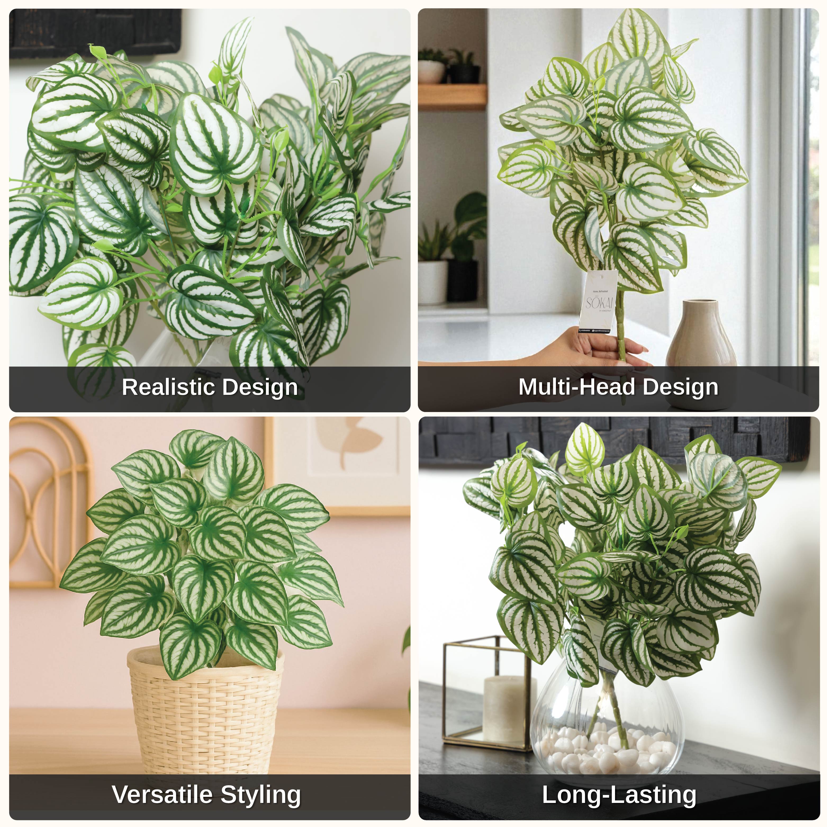 Sokai Green & White Decorative Leaf Bunch | Peperomia - Set of 3