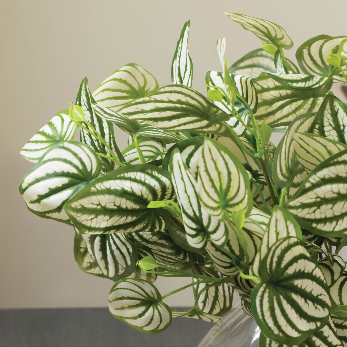 Sokai Green & White Decorative Leaf Bunch | Peperomia - Set of 3 - Homestrap
