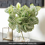 Sokai Green & White Decorative Leaf Bunch | Peperomia - Set of 3 - Homestrap