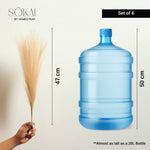 Sokai Pampas Grass Sticks – Set of 6 - Homestrap