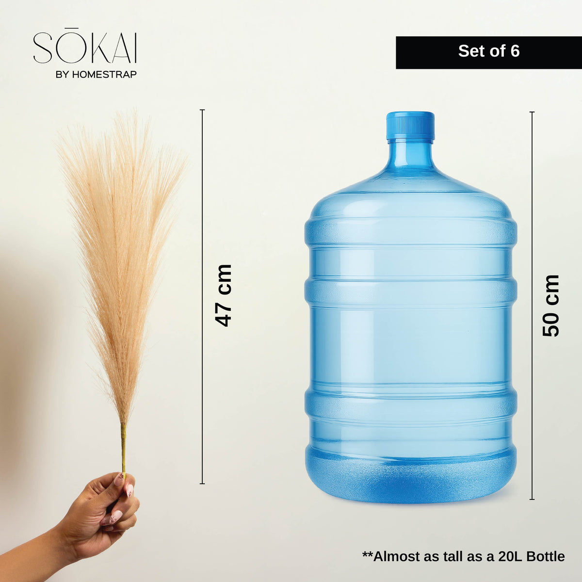 Sokai Pampas Grass Sticks – Set of 6 - Homestrap
