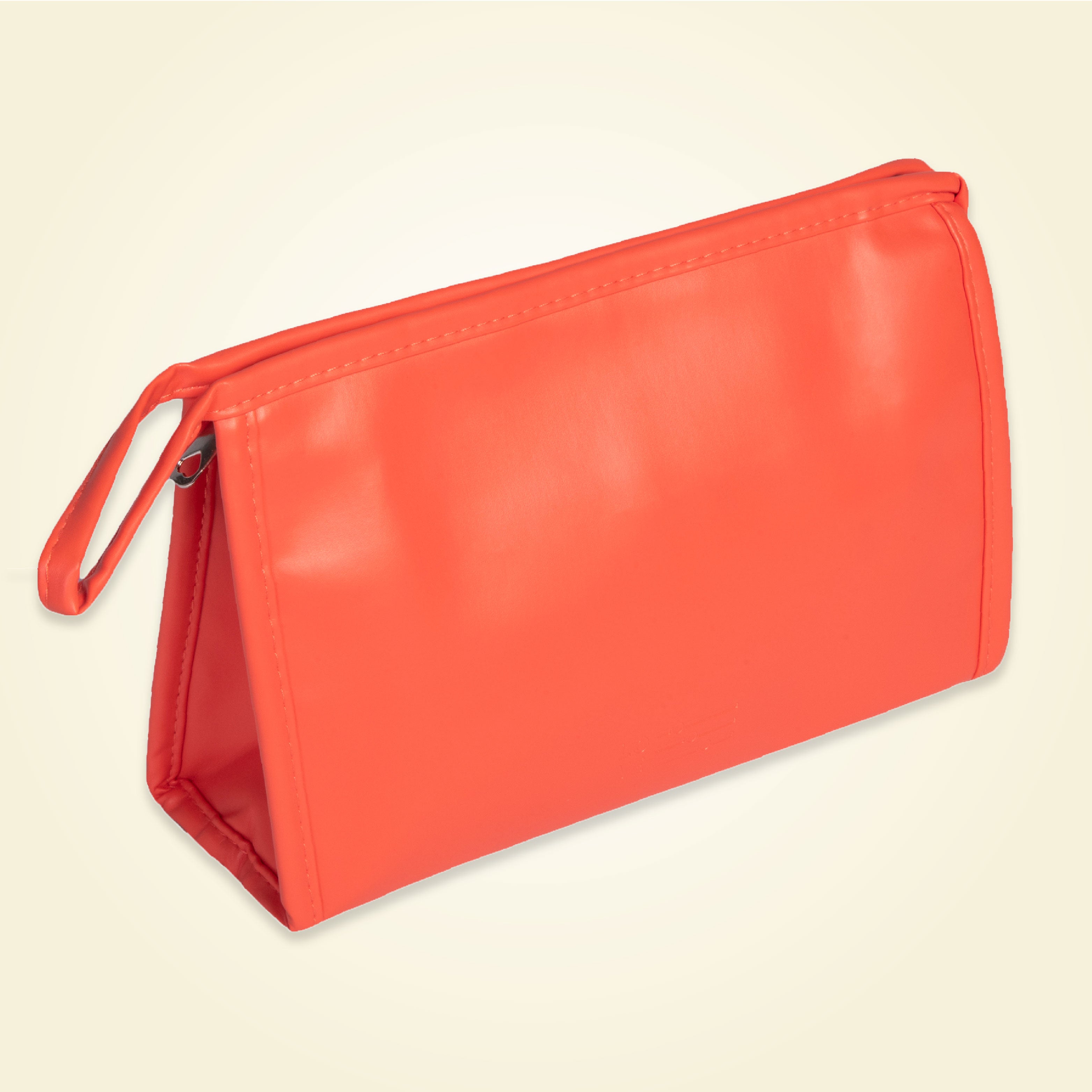 Carry All Case | Cosmetic or Makeup Organizer | Toiletry Bag | Medium